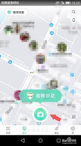 形色app如何识别植物