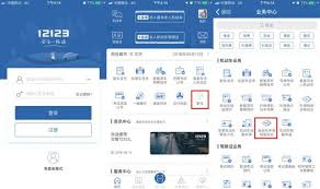 交管12123如何申领免检车检验标志
