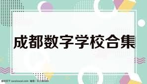 成都数字学校合集