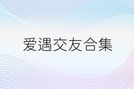 爱遇交友合集