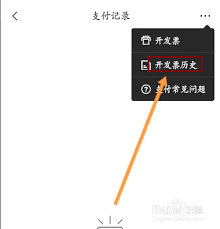 剪映怎么查看发票历史记录