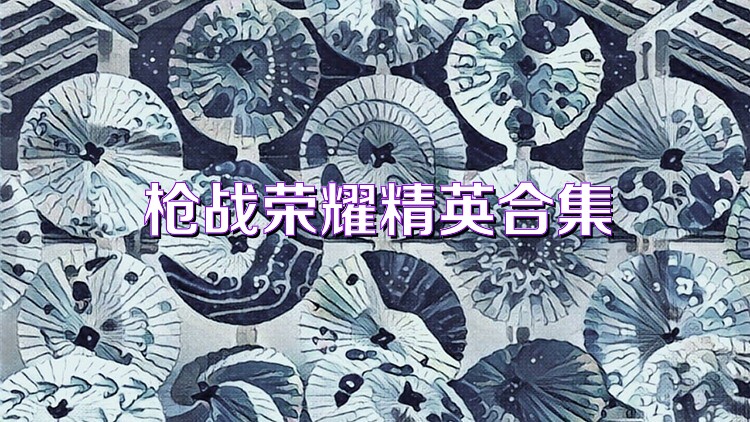 枪战荣耀精英合集
