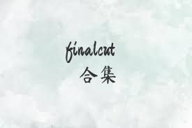 finalcut合集