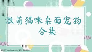 激萌猫咪桌面宠物合集