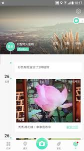 形色app如何鉴定植物