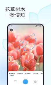形色app如何进行改名