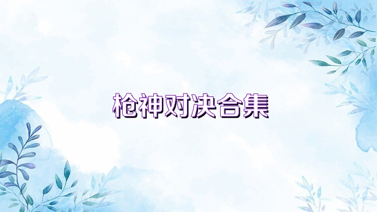 枪神对决合集