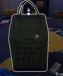 浣币模拟器Notes of Anarchy成就如何做