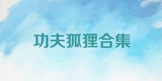 功夫狐狸合集
