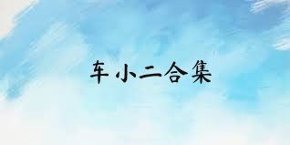 车小二合集