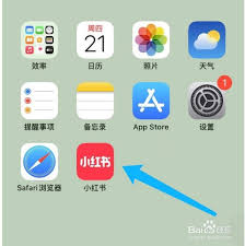 小红书如何查看笔记浏览记录