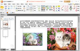 金舟PDF编辑器如何将多张图片设置为相同大小