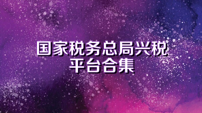 国家税务总局兴税平台合集