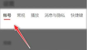 网易云音乐如何设置字体