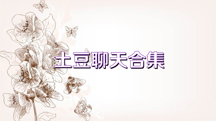 土豆聊天合集