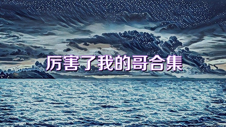 厉害了我的哥合集