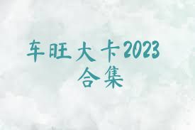 车旺大卡2023合集