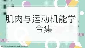 肌肉与运动机能学合集