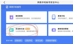 网易支付实名认证非本人如何修改