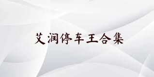 艾润停车王合集