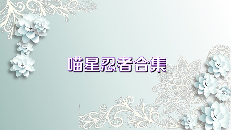 喵星忍者合集