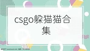 csgo躲猫猫合集