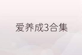 爱养成3合集