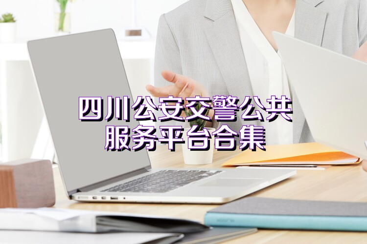 四川公安交警公共服务平台合集