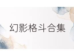 幻影格斗合集