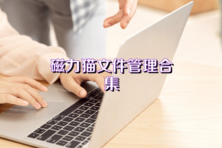 磁力猫文件管理合集