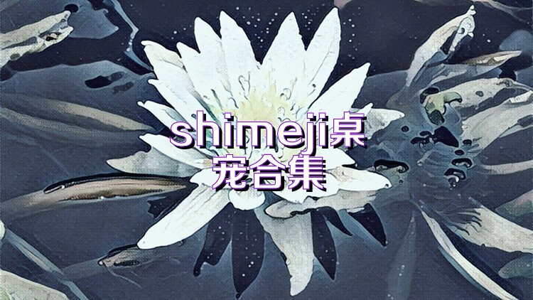 shimeji桌宠合集