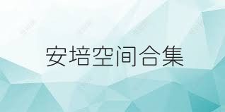 安培空间合集