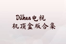 Dilkan电视机顶盒版合集
