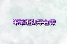 莱掌柜助手合集