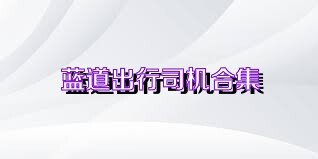 蓝道出行司机合集