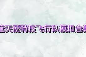 蓝天使特技飞行队模拟合集