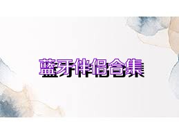 蓝牙伴侣合集