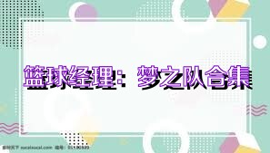 篮球经理：梦之队合集