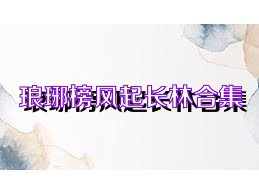 琅琊榜风起长林合集