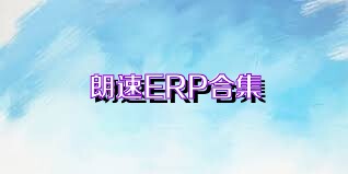 朗速ERP合集