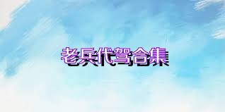老兵代驾合集