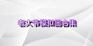 老大爷模拟器合集