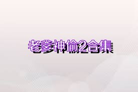 老爹神偷2合集