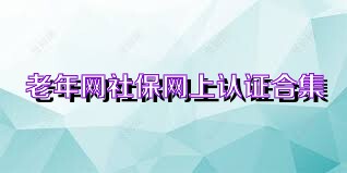 老年网社保网上认证合集