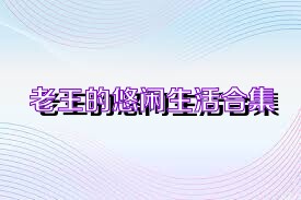 老王的悠闲生活合集