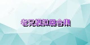 老兄模拟器合集