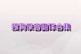 搜狗录音翻译合集