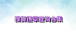 搜狐违章查询合集
