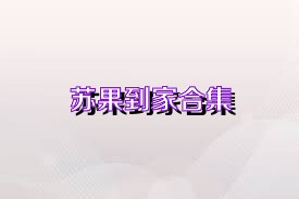 苏果到家合集
