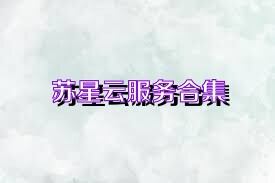 苏星云服务合集